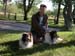 DSCN3389-Deeb-Dogs