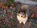 farm_shanti_800-DSCN1816